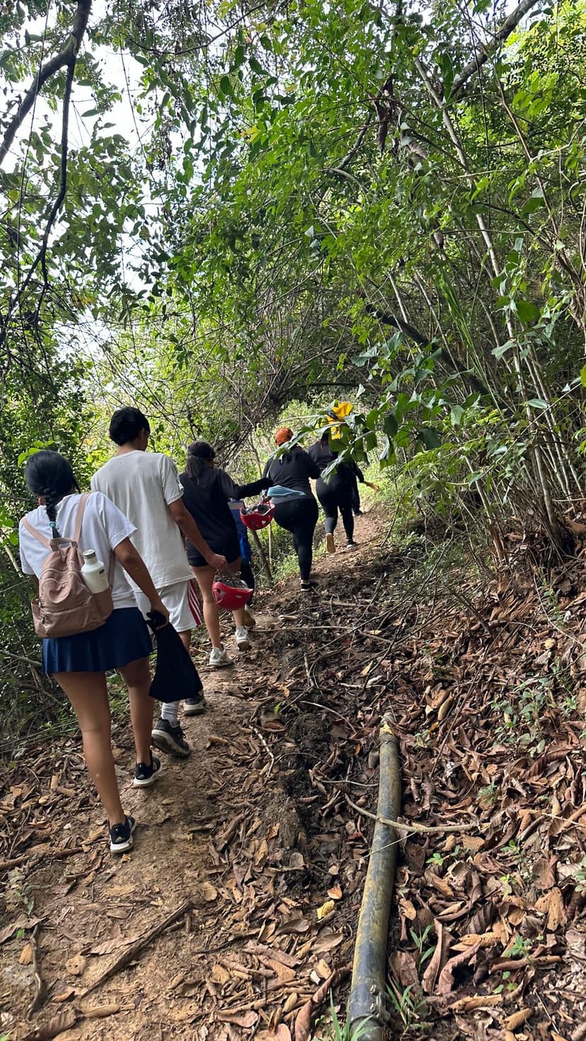 Personas caminando por un sendero