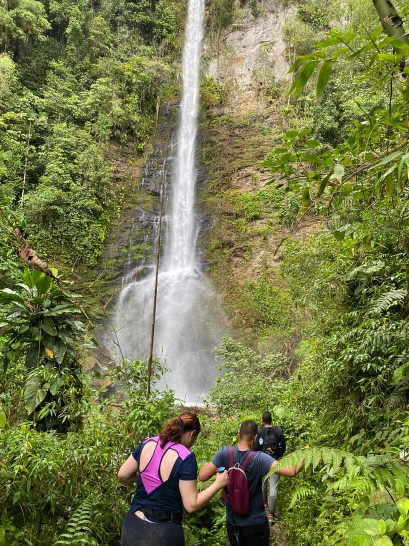 Personas caminando por un sendero de montaña, acercándose a una cascada de fondo