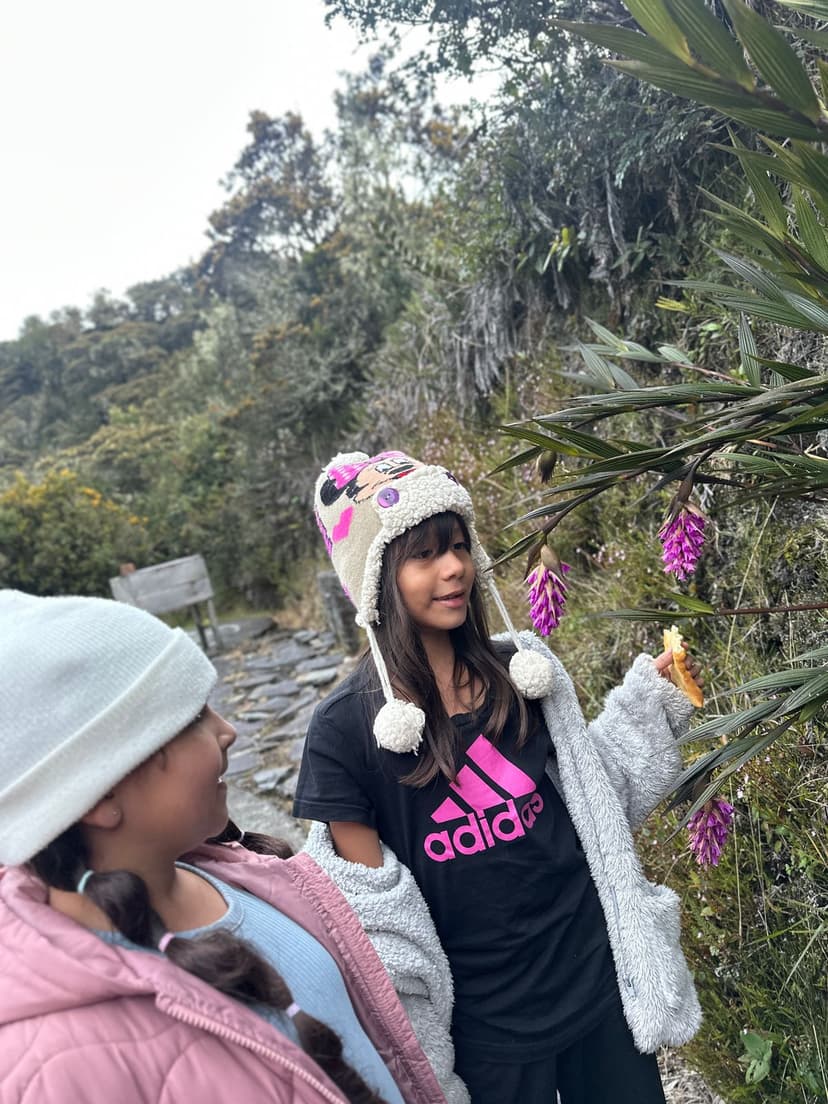 Niñas observando flores en el campo