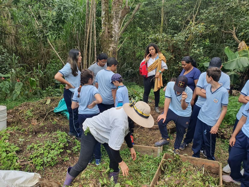 Actividad en la montaña de plantación de arboles