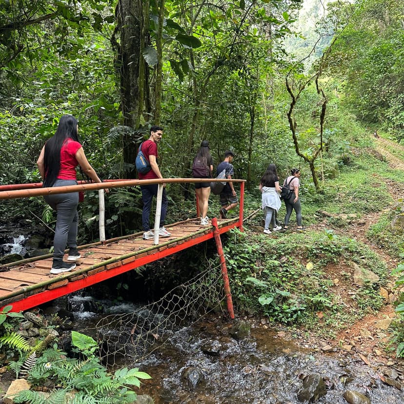 Personas pasando un puente de madera que atraviesa un río.