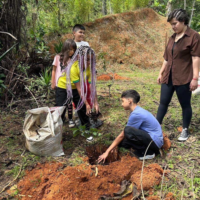Plantación de arboles