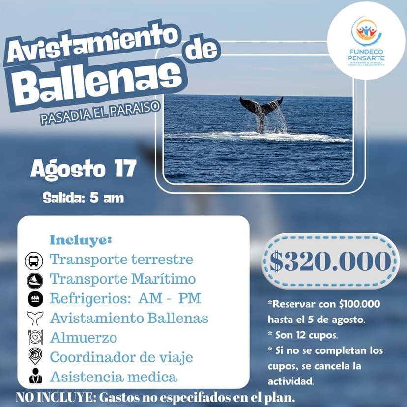 Flyer publicitario de avistamiento de ballenas